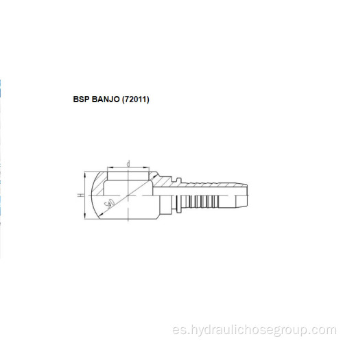 Accesorios tipo banjo BSP 72011